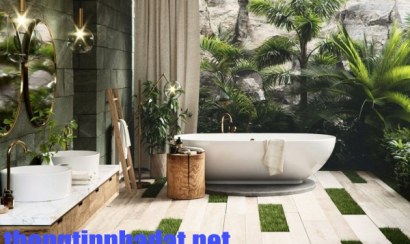 Top những cây trồng trong nhà vệ sinh giúp hút ẩm, khử mùi