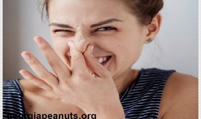 Cách khử mùi hôi trong phòng kín một cách hữu hiệu nhất