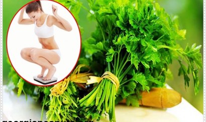 Cách giảm cân tự nhiên bằng rau mùi