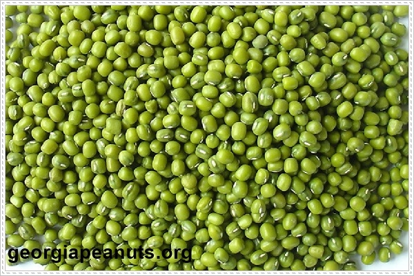 Giảm c&acirc;n an to&agrave;n với đậu xanh