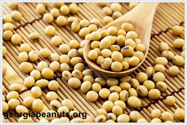 Giảm c&acirc;n một c&aacute;ch tự nhi&ecirc;n với đậu n&agrave;nh