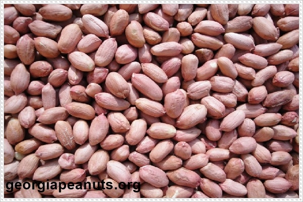 Top 5 c&aacute;c loại đậu gi&uacute;p giảm c&acirc;n hiệu quả