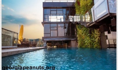 Hướng dẫn vệ sinh hồ nước đúng cách