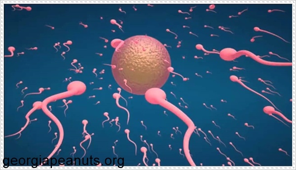 Thực hiện x&eacute;t nghiệm để kết luận hiếm muộn ở nam