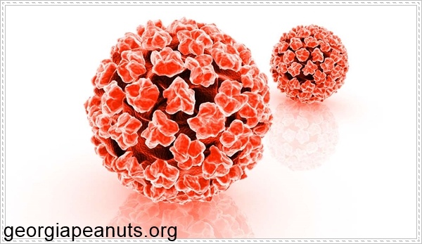 Nhiễm virus HPV khi quan hệ bằng mồm