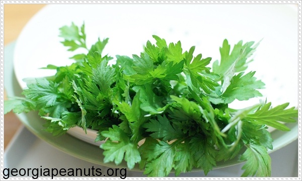 Chữa rối loạn kinh nguyệt bằng ngải cứu