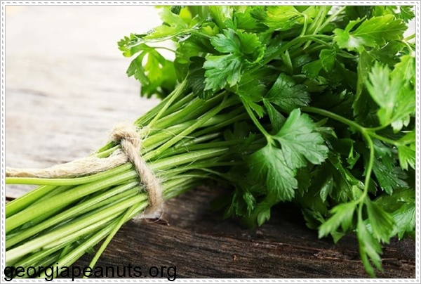 Chữa rối loạn kinh nguyệt bằng mùi tây