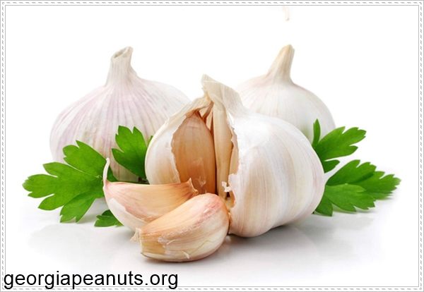 Chữa vi&ecirc;m bao quy đầu bằng tỏi