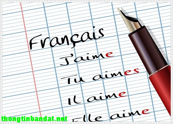 Bí quyết tự học tiếng Pháp hiệu quả cho người mới bắt đầu