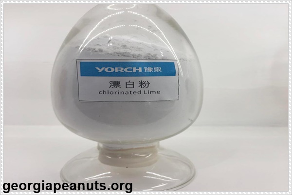 Cách vệ sinh và khử trùng nhà sau khi bị ngập bằng chlorinated lime