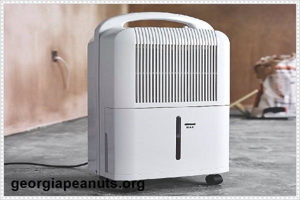 M&aacute;y h&uacute;t ẩm gi&uacute;p c&acirc;n bằng độ ẩm