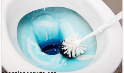 Bạn biết gì về viên khử mùi hôi nhà vệ sinh?