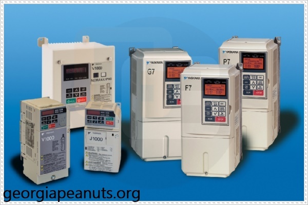 Trị nám da bằng cỏ tầm ma