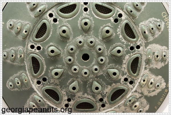 Hậu quả khi không làm sạch vòi hoa sen thường xuyên