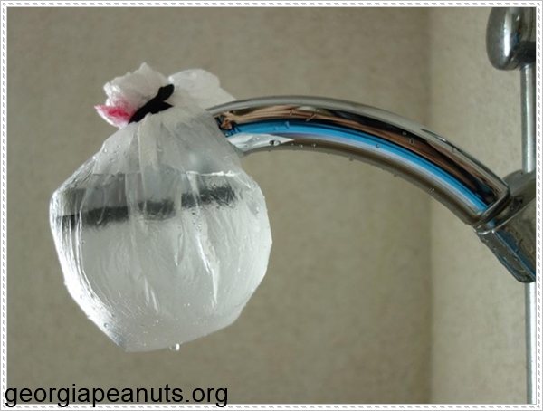 Thực hiện làm sạch vòi sen