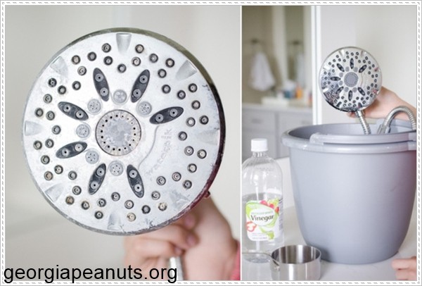 Làm sạch vòi sen có thể tháo rời