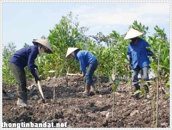 Giải ph&aacute;p vệ sinh m&ocirc;i trường