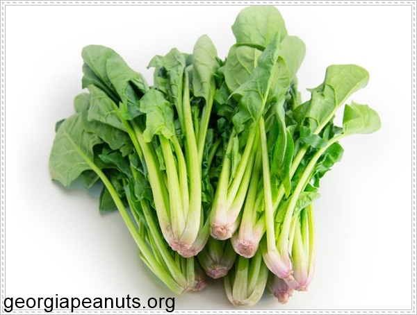 Rau bina gi&uacute;p n&acirc;ng cao testosterone cho nam giới